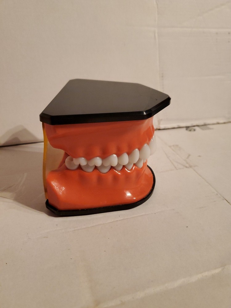 Columbia Dental Form Teeth Dentistry