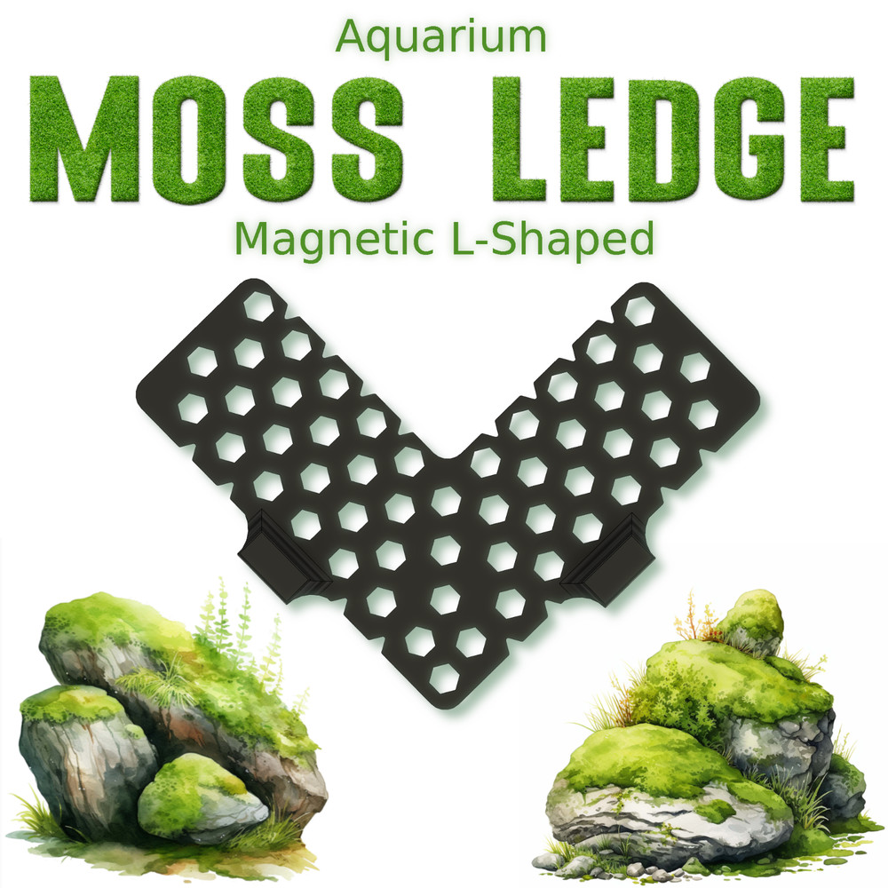 Magnetic L-shaped corner moss ledge
