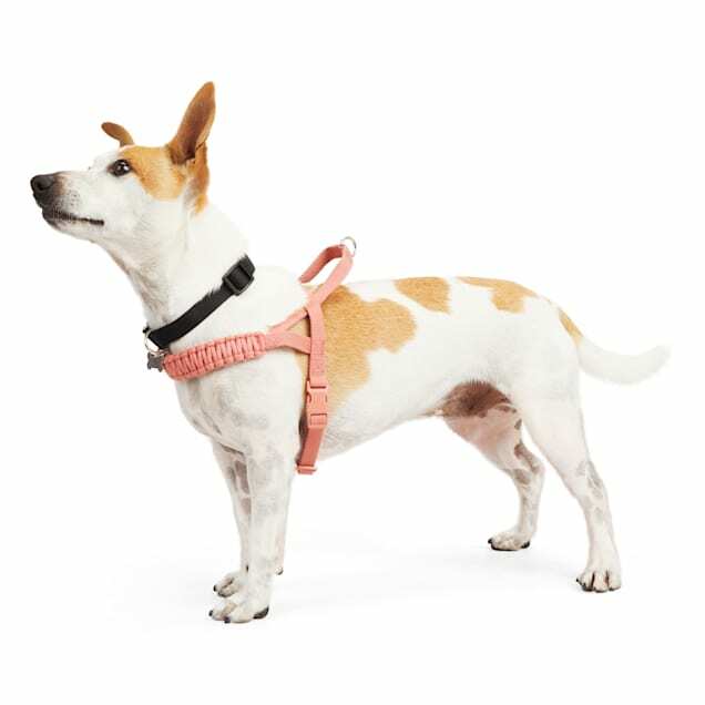 YOULY The Bohemian Rust Macrame Dog Harness, Large