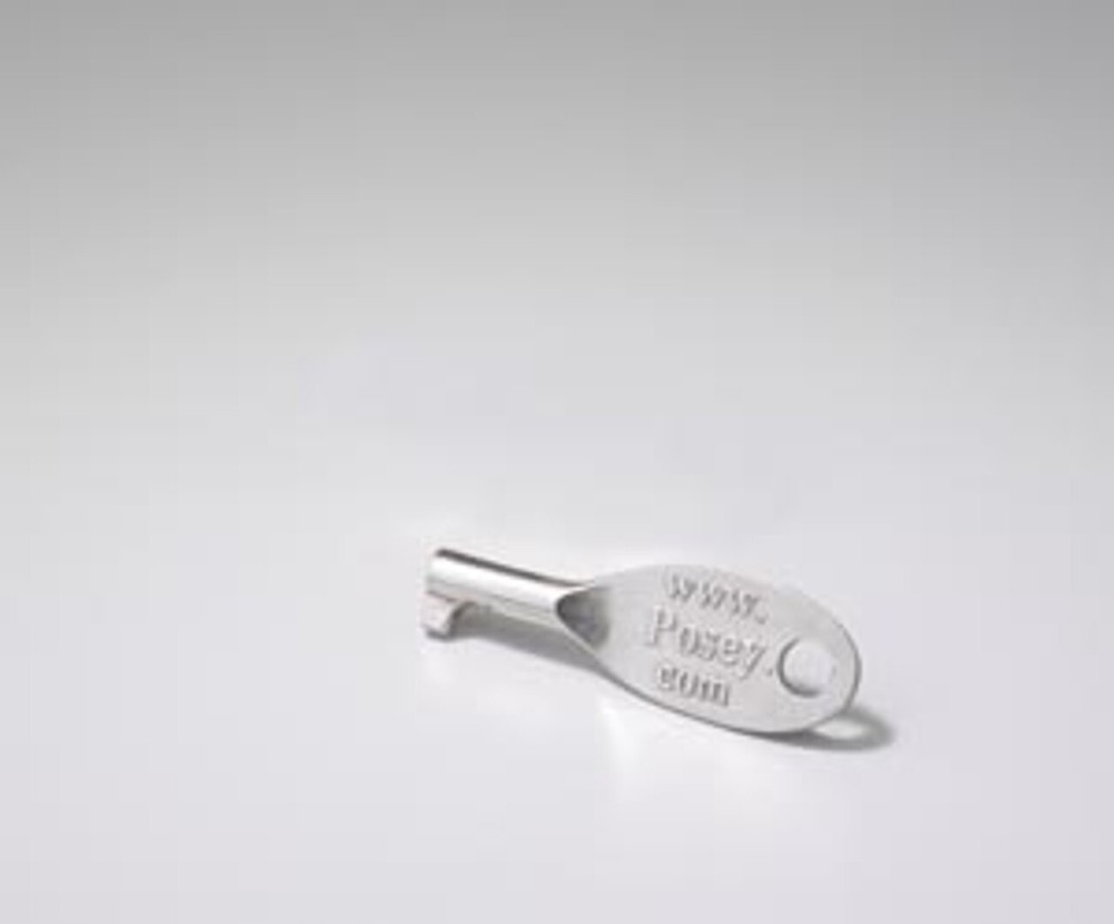 Posey 1074 Replacement Silver Key for Posey Key-Lock Cuffs and Belts
