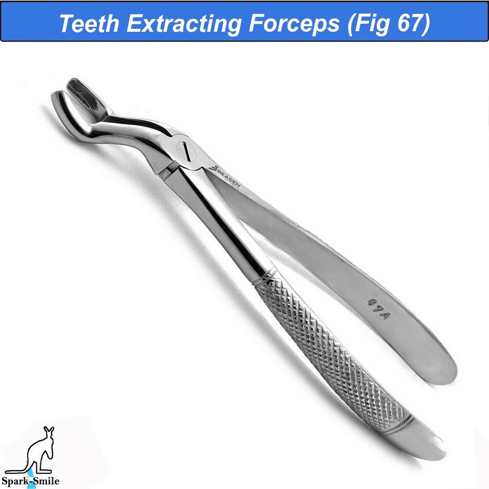 Dentistry Tooth Extraction Forceps Fig. 67 A Surgical Instruments Dental Forceps