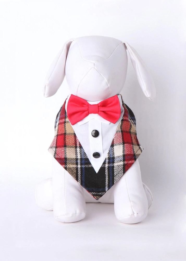 Tubbs Bow Tie Formal Bandana