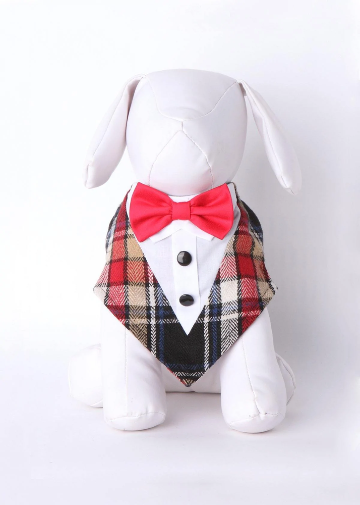Tubbs Bow Tie Formal Bandana