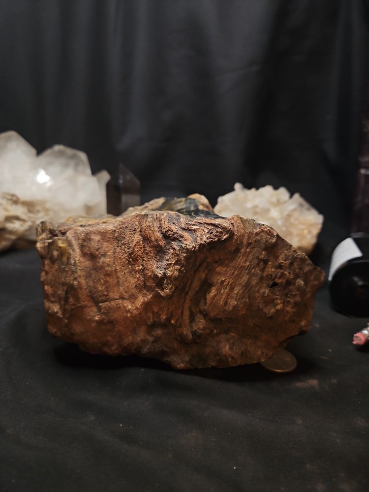 Petrified Wood Multi Colored Specimen Natural Form (2lbs 14oz)