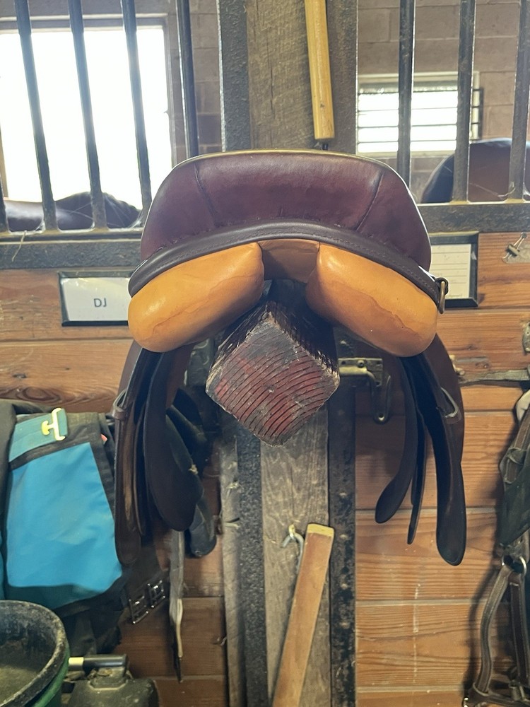 16.5 cambridge saddle medium gullet