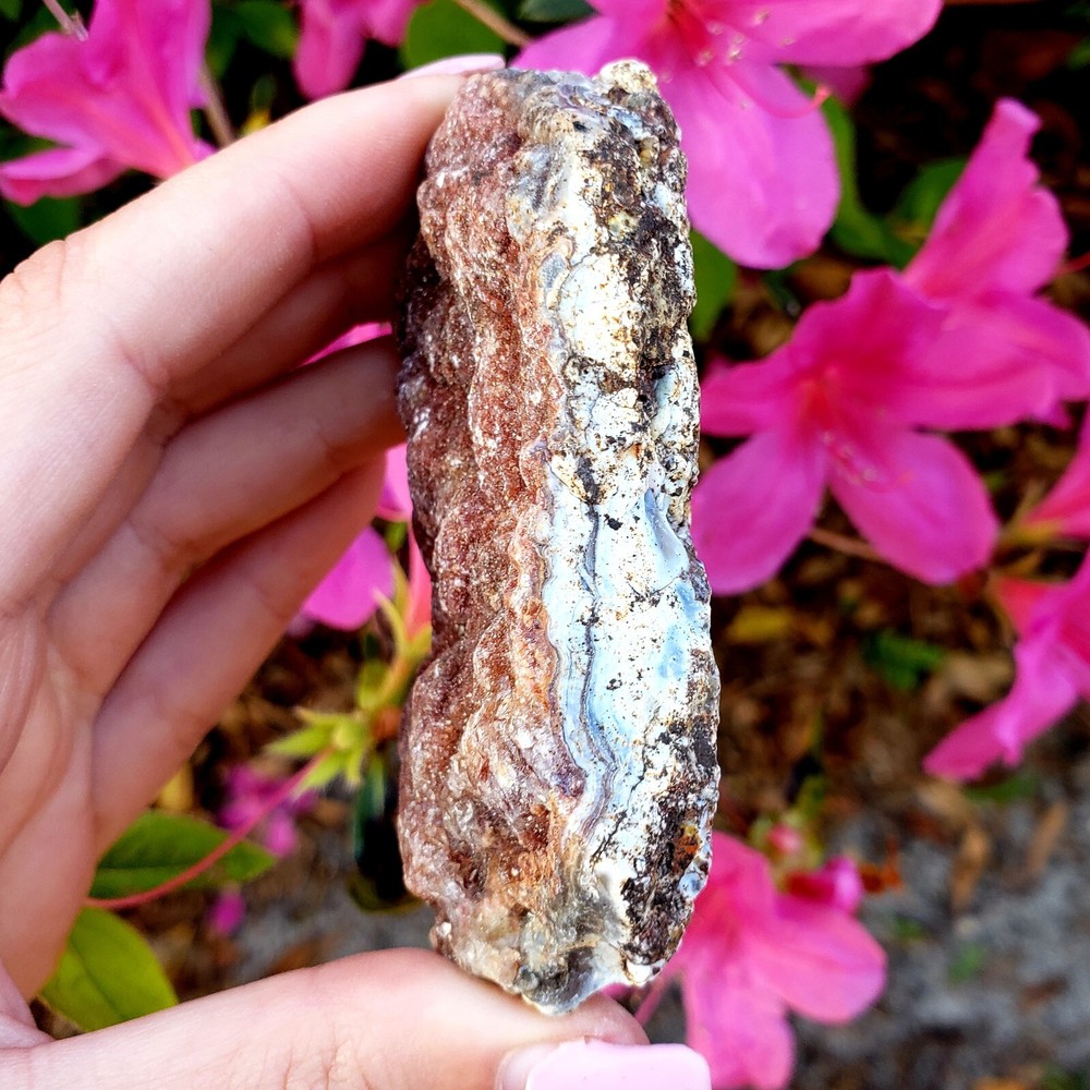 Fossilized Agate shell Cluster druzy natural crystal healing gemstone - #15A