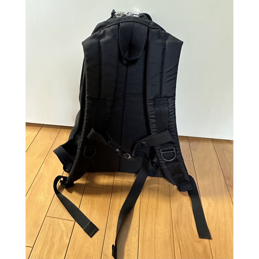 Gregory Fine Day Backpack Black Used From Japan