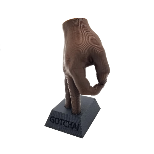 Gotcha! - Life Size Hands | Custom Text