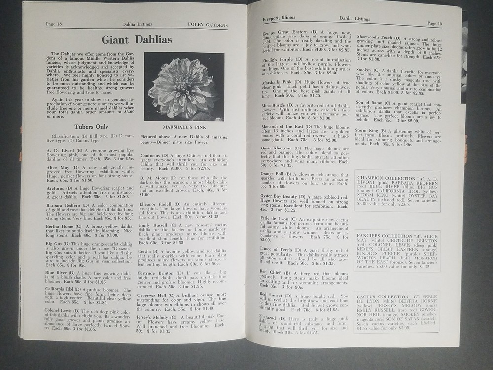 1957 Foley Gardens Catalog