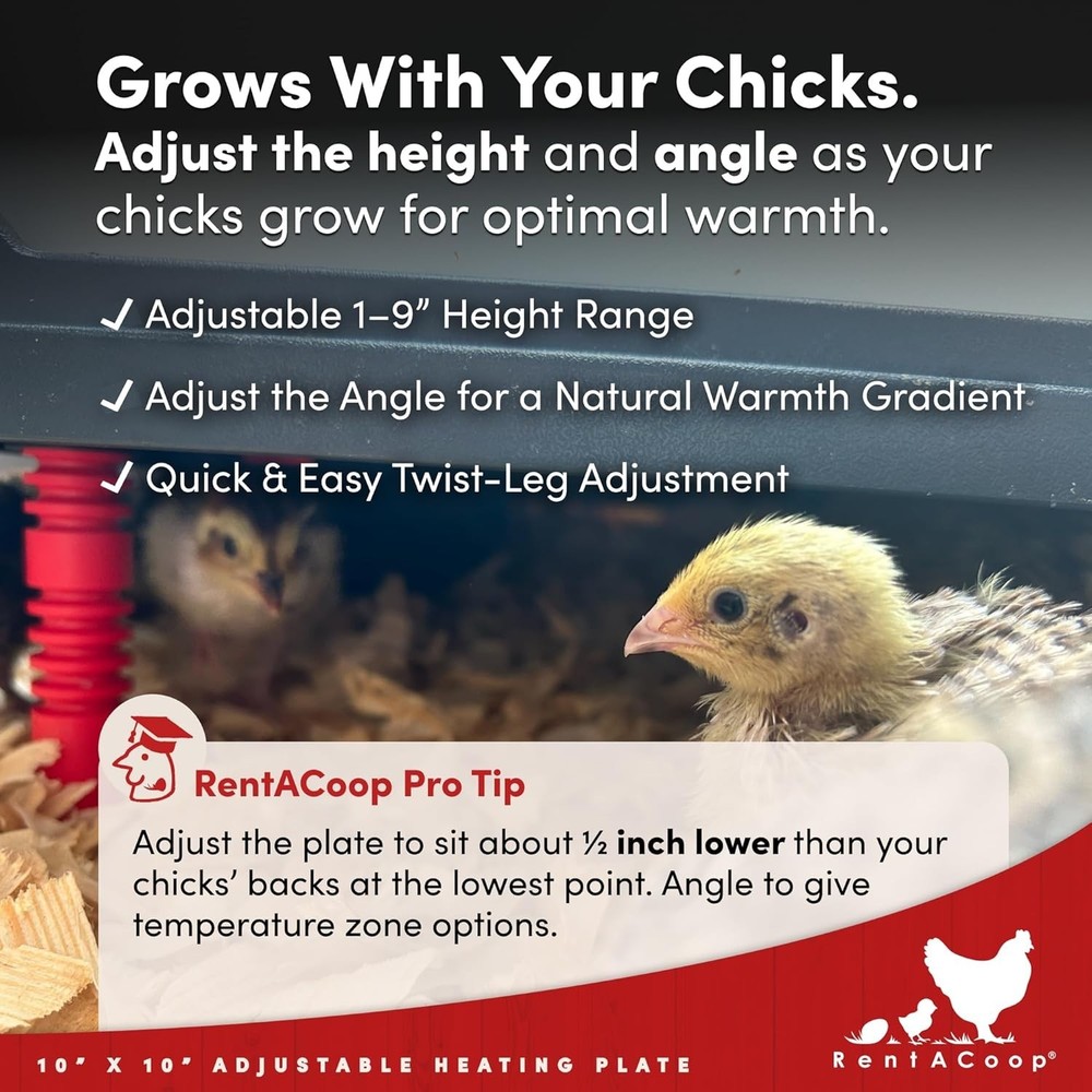 Energy-Saving Chick Brooder Heating Solution