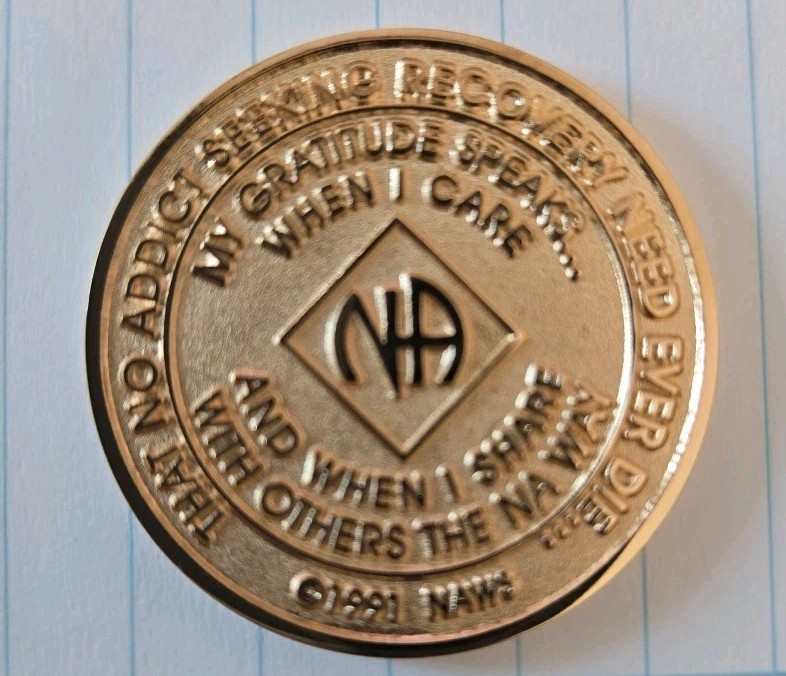 NA Medallion Official Narcotics Anonymous Bronze Chips