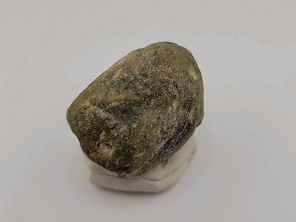 Real Permineralized Dinosaur Half Egg Embro Uv Reactive