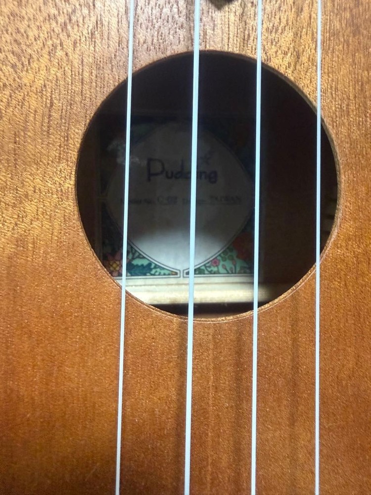 concert ukulele with case