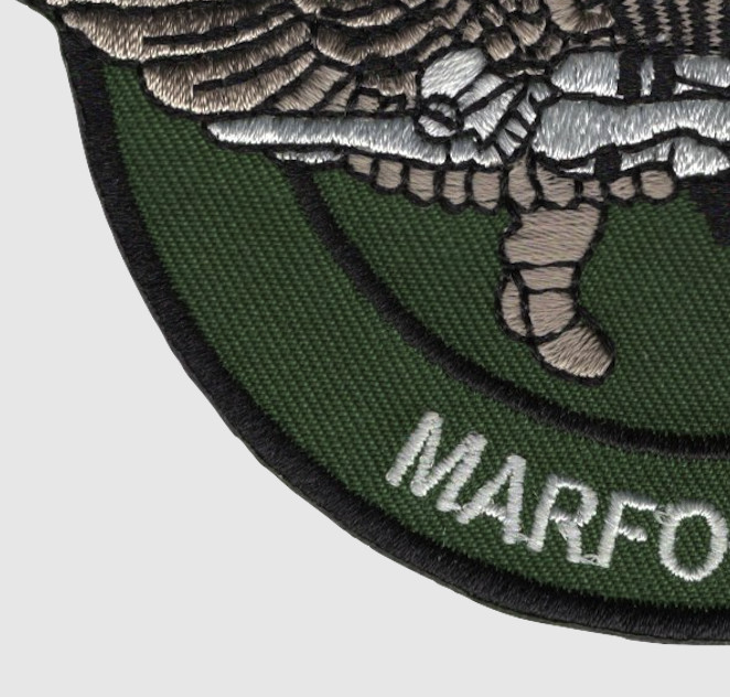 2nd Force Reconnaissance Co Patch