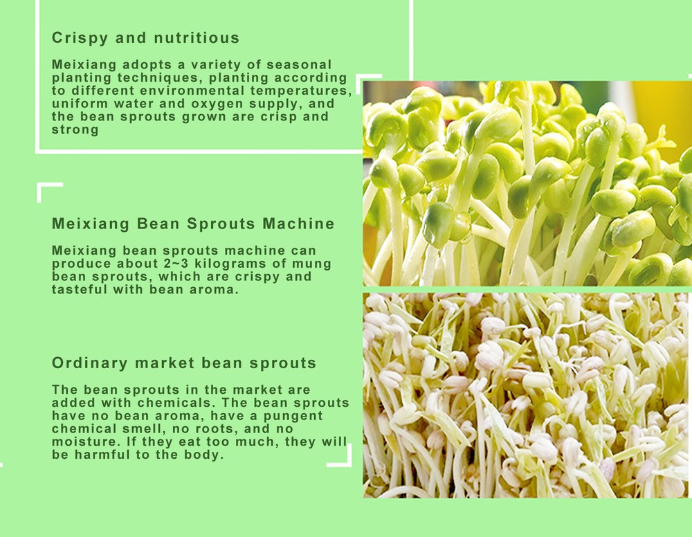 20W 2-Layer Bean Seed Sprouter Machine Automatic Bean Sprouts Machine Household