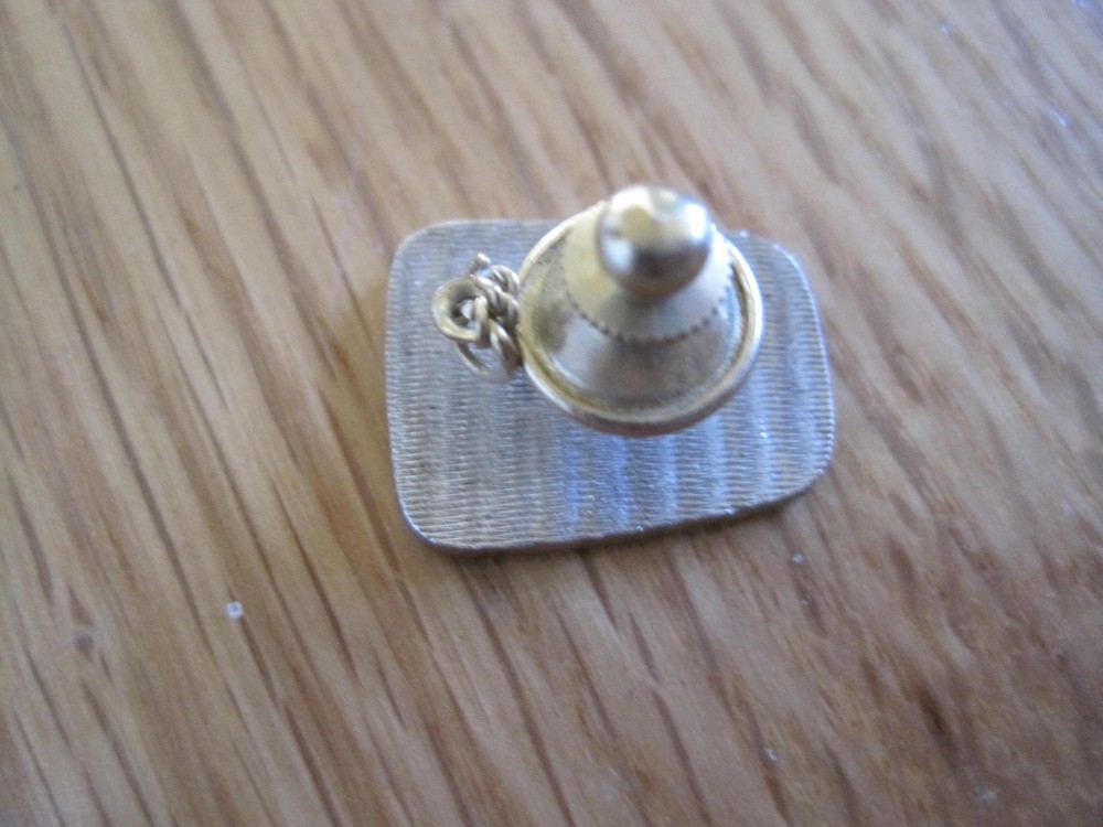 Vintage Owl Pin Back