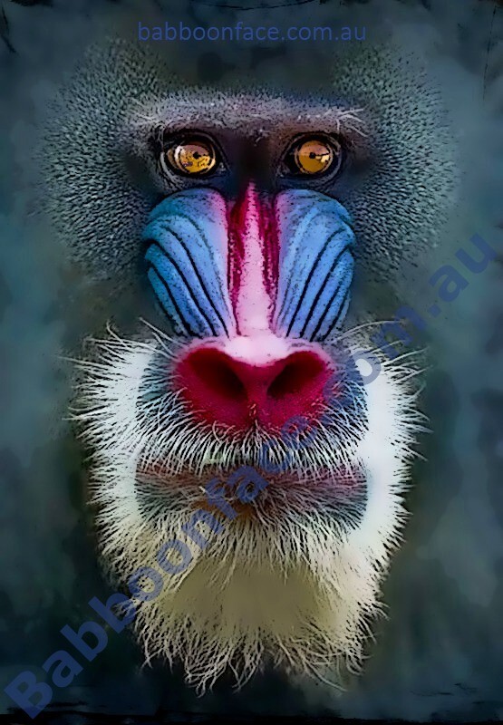 for Bobcat Injector Overflow Return Pipe Line & Washers E16 E17 E17Z E19 E20 E20