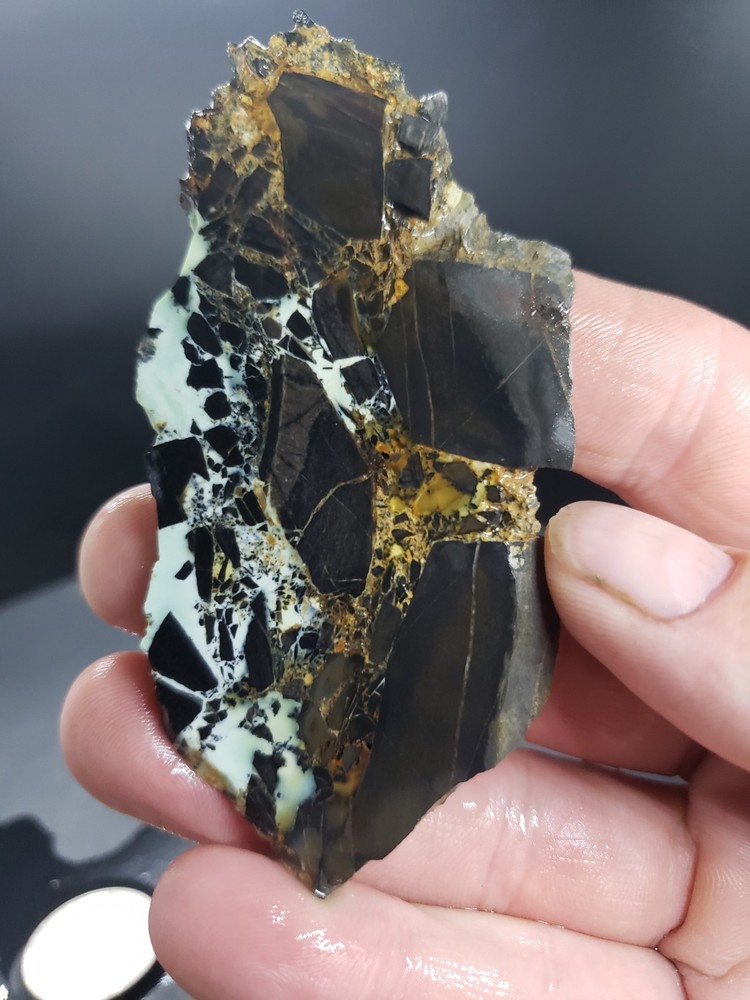 Nevada Gecko Variscite Slab