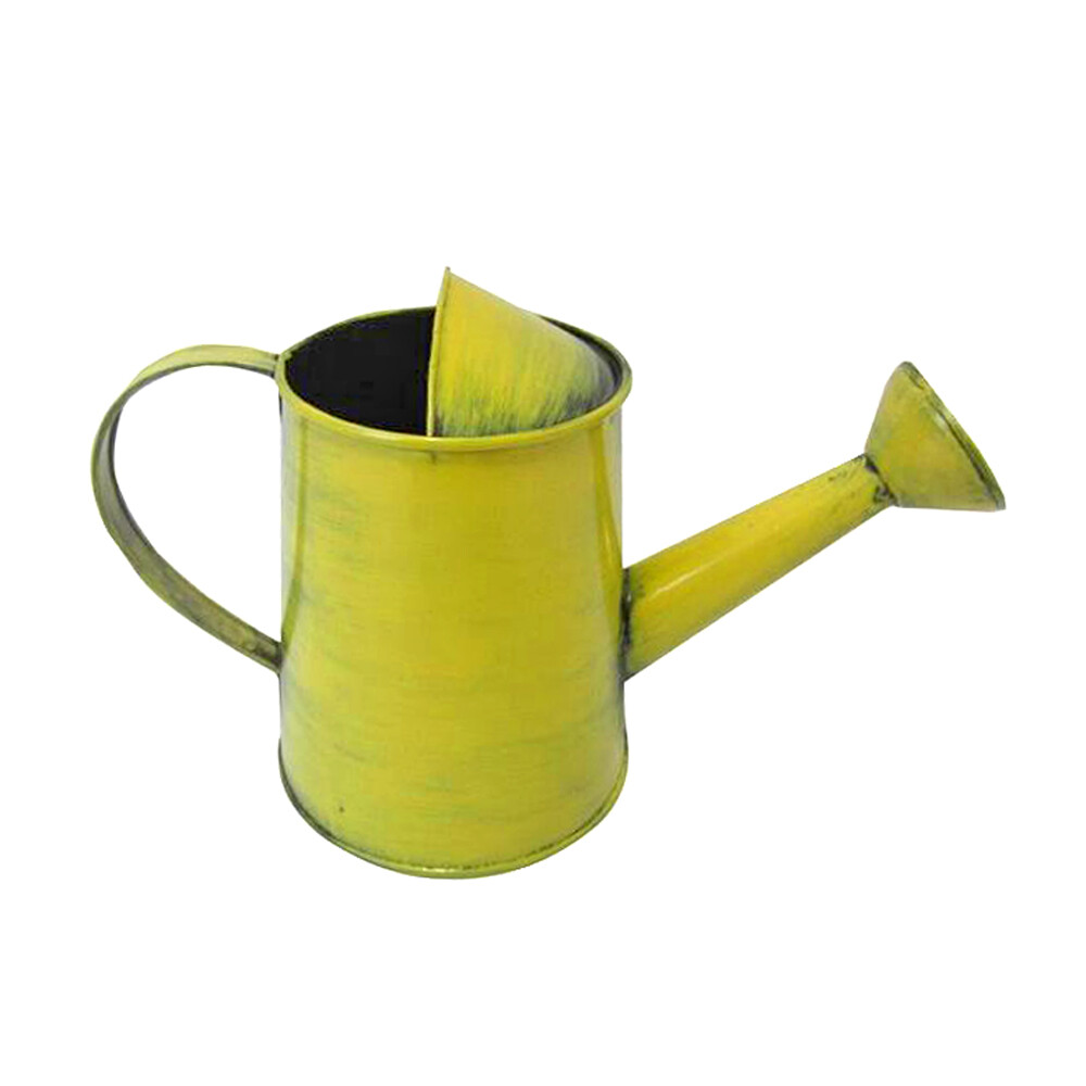 Decorative Sunflower & Ladybug Metal Watering Can