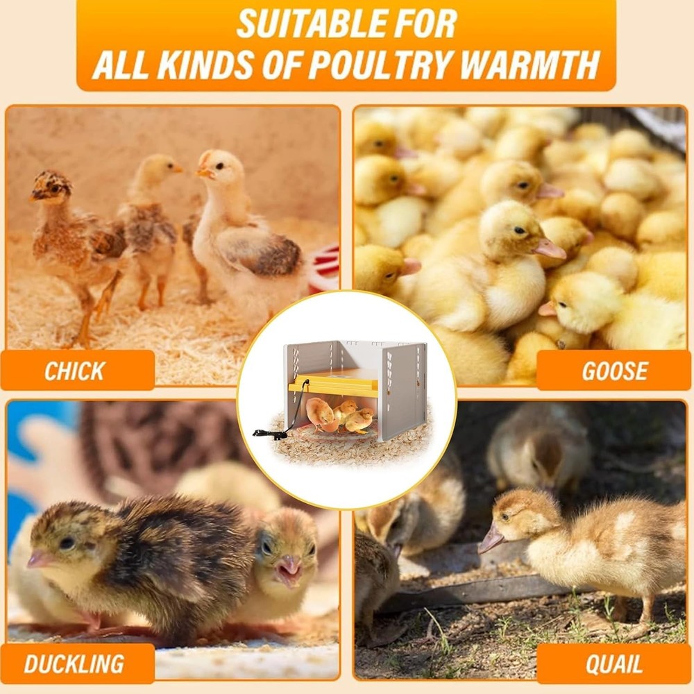 Brooder Box for Chicks, - Chicken Heater, Poultry Brooder with Heaters for