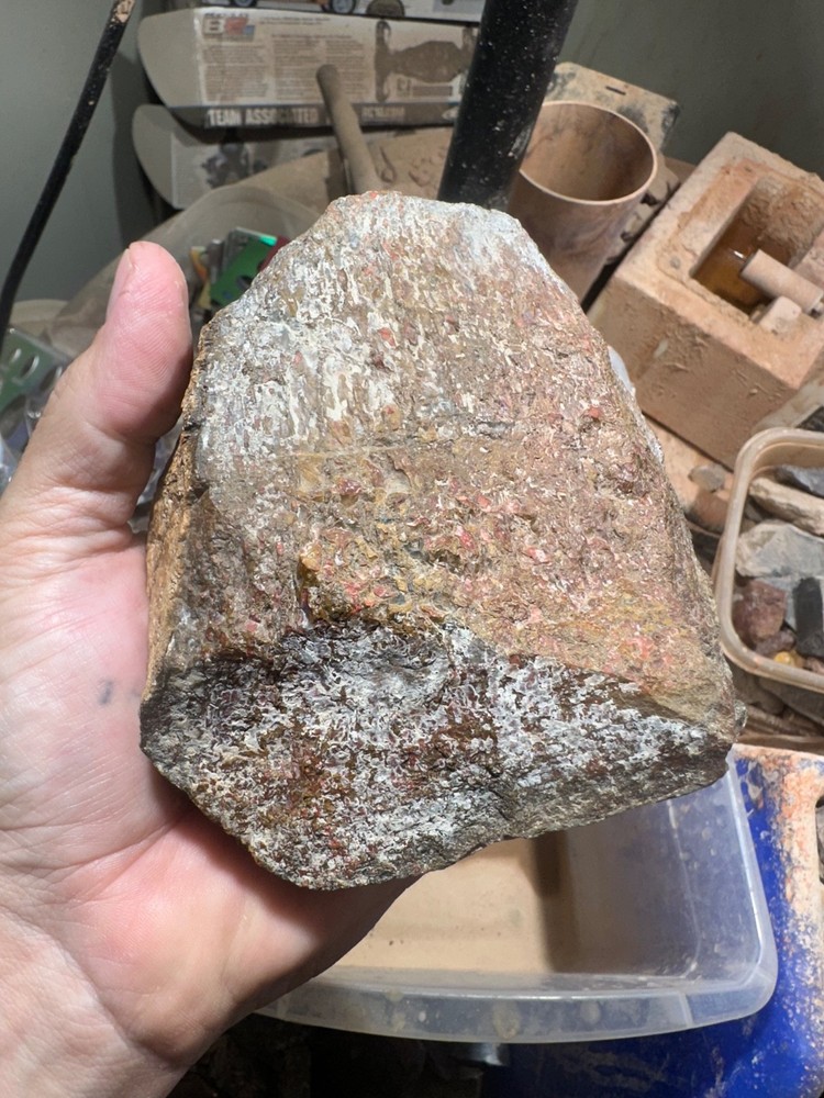 Dinosaur bone polished 3.5 lb large cell specimen.