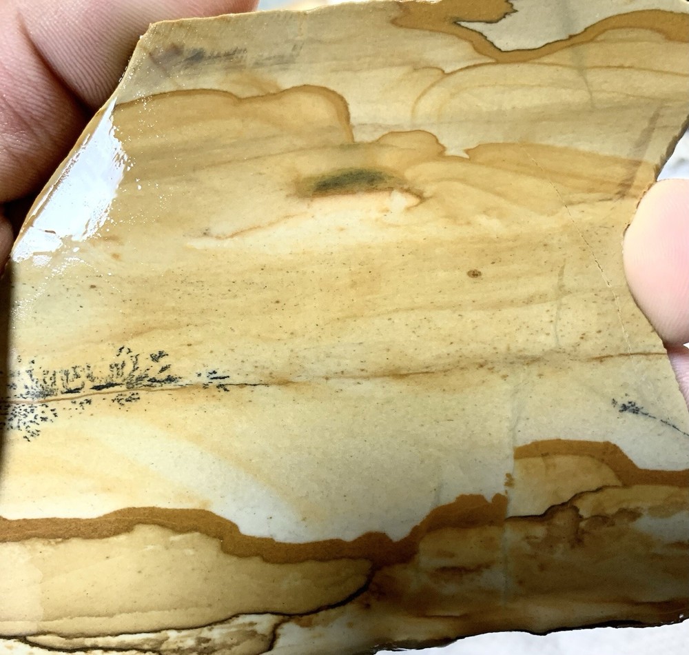 owyhee picture jasper Slab