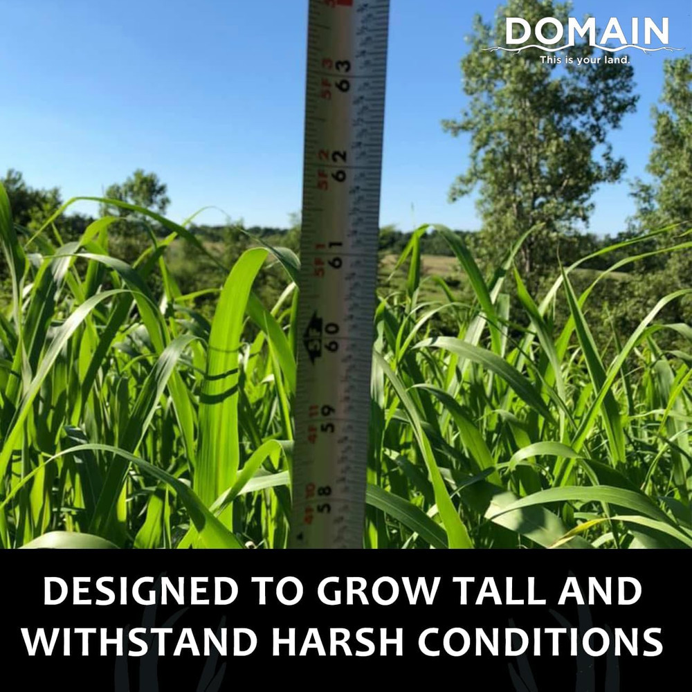 Incognito Deer Plot Seed, 1/4 Acre, Create Concealment to and from Stand or Plot