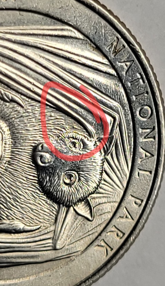 2020P WASHINGTON QT ERROR ( GREASE -MISSING FUR )31A