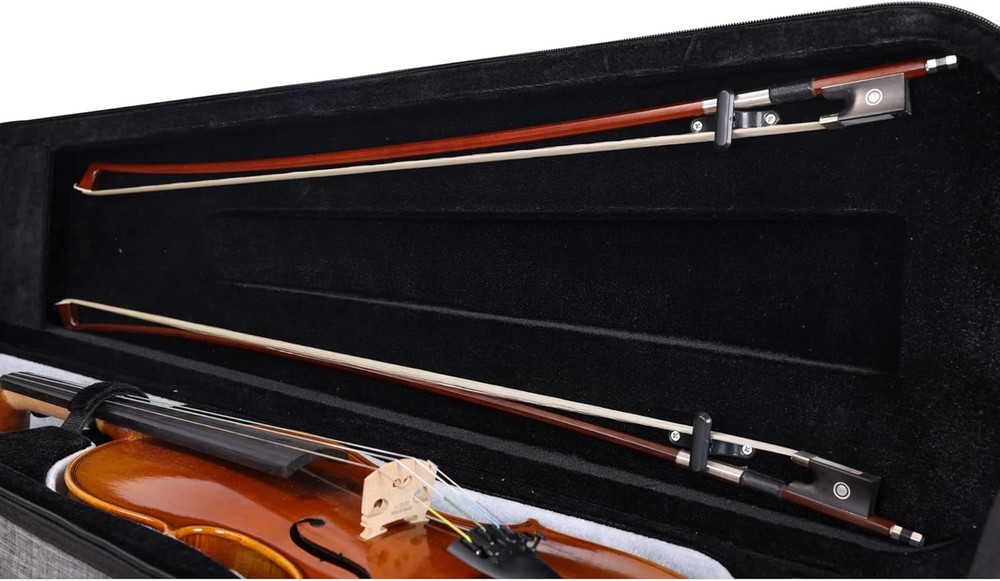 Aileen CSV502 Basic Professional 4/4 Full Size Violin Case Triangular Hard Shell