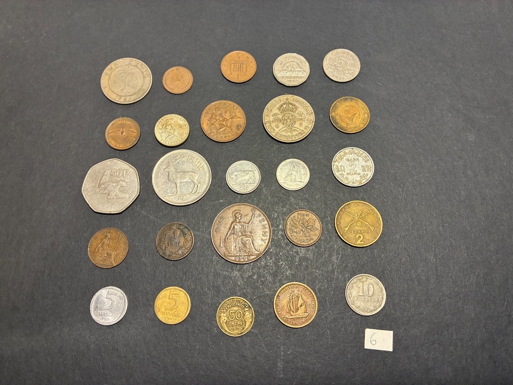 25 ASSORTED FOREIGN COINS LOT 6