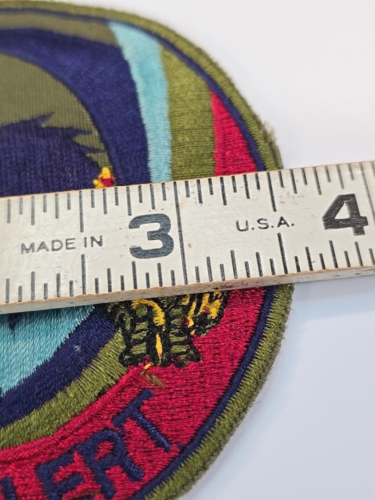 US Air Force Eagle Alert Patch