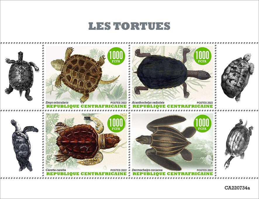 Turtles