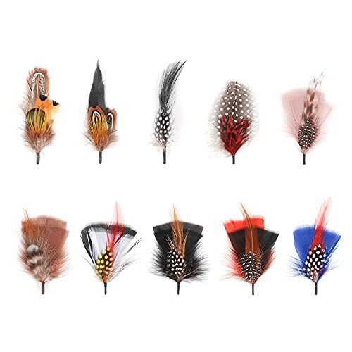 Hat Feathers, 10 Pcs Assorted Colors , Sizes