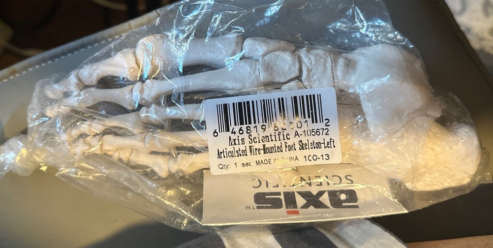 axis scientific Left Foot Model