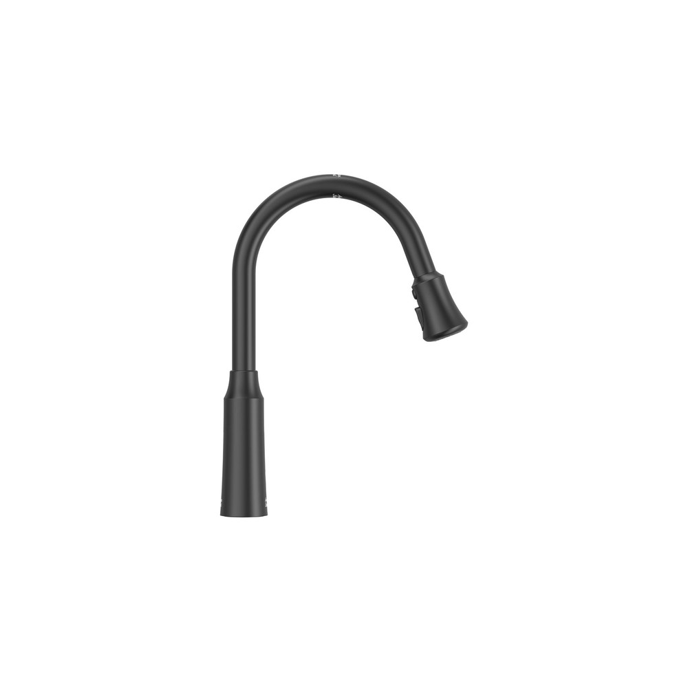 Ellis Pull Down Kitchen Faucet
