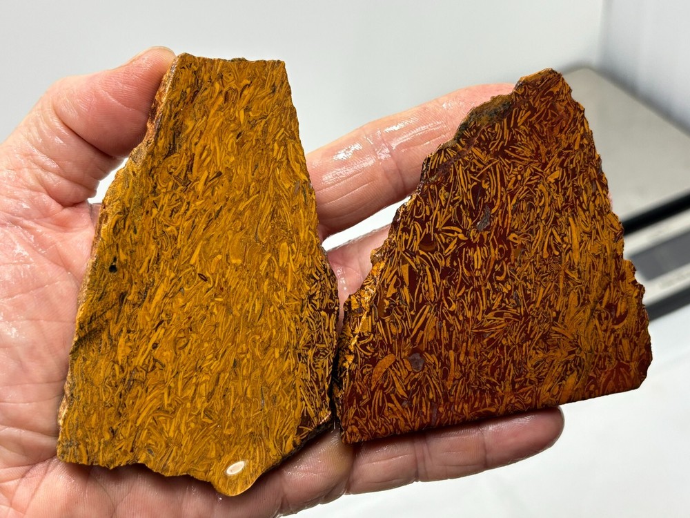 Script Stone Jasper Slabs Cabbing Lapidary Collecting Combo Ship Avail
