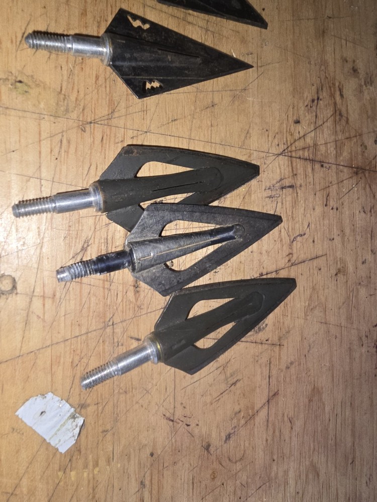 Bear Razor Head Magnus Fixed Blades