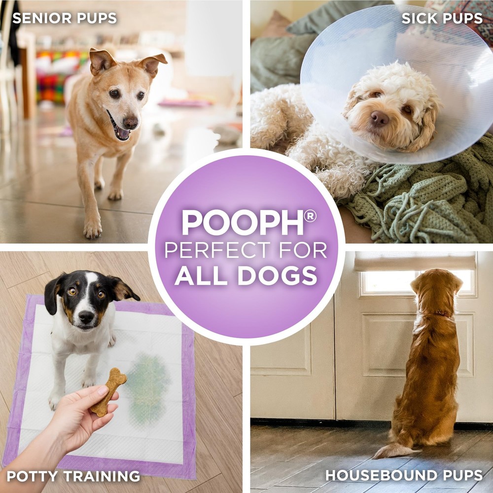 ® Potty Pads™ – 50 Count – Superior Absorbency & Odor Control – Absorbs 59oz,...
