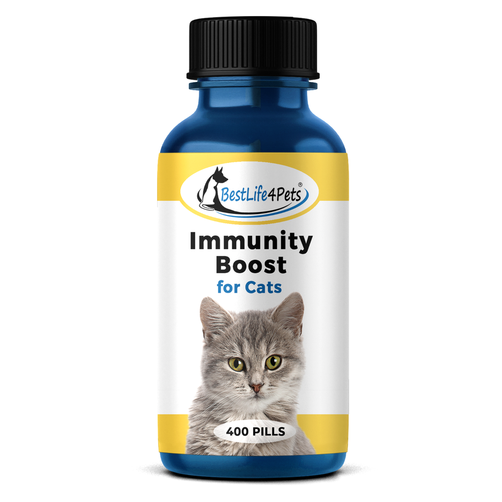 IMMUNITY BOOST FOR CATS Immune System Support Natural Supplement