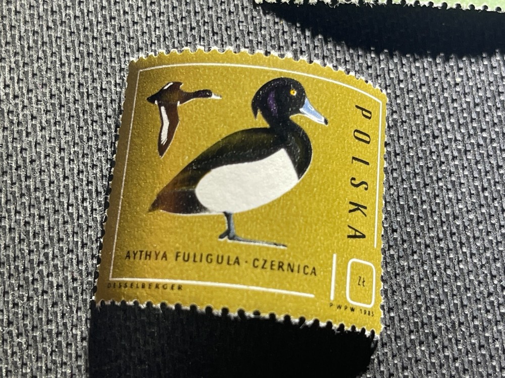 Five Poland Wild Duck Stamps MNH