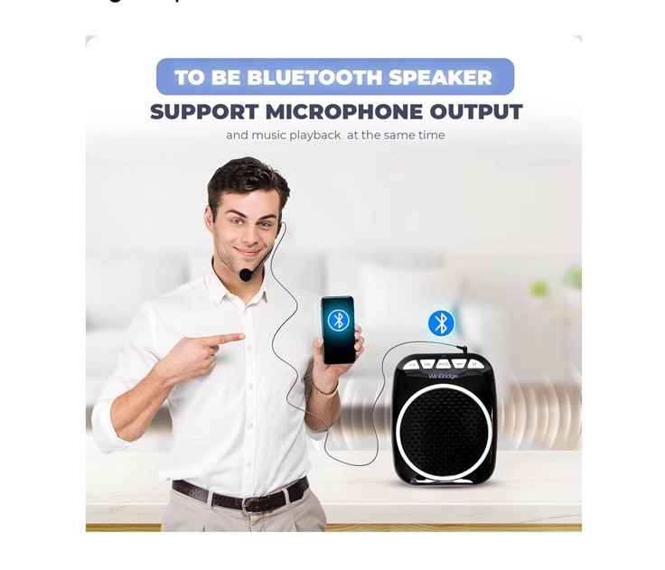 WinBridge WB001 Voice Amplifier