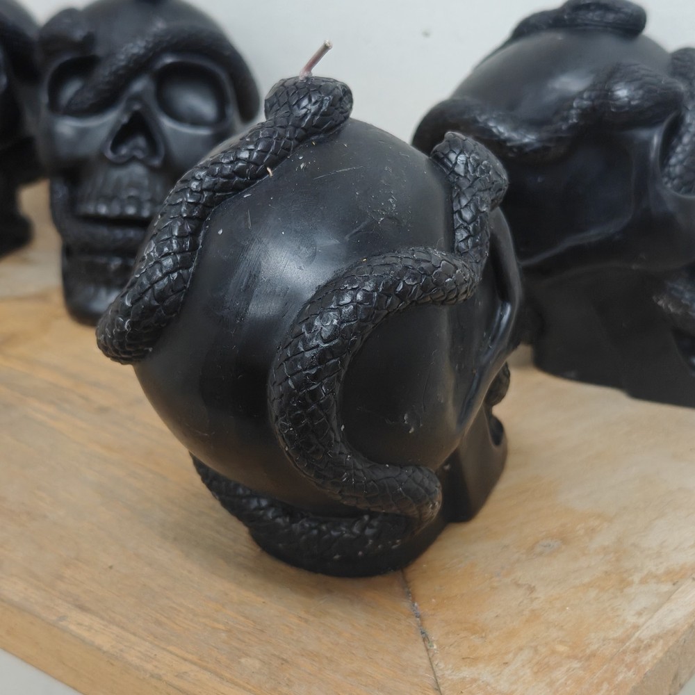 5.1'' Skull and Snake Candle Black - Threshold Target
