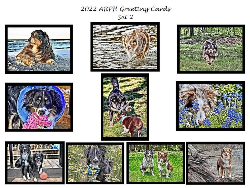 Aussie Rescue - Notecards (2022 pack 2)
