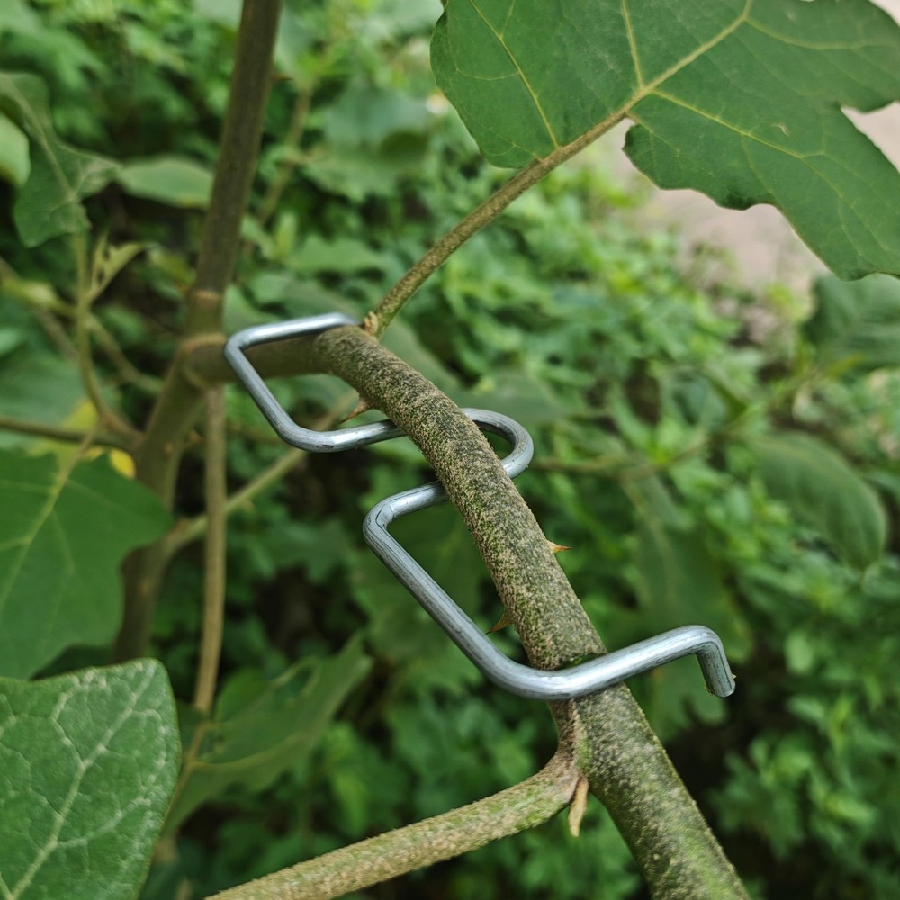 Fruit Tree Branch Puller 16PCS, 5.1 inch Fruit Tree Limb Spreader, Fruit Tree...