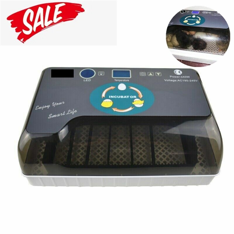 12 Eggs Mini Visual Egg Incubator Digital Egg Incubator w/Automatic Turning