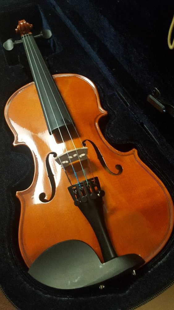 Berkeleywind Beautiful 16" Solid Maple Pro Viola