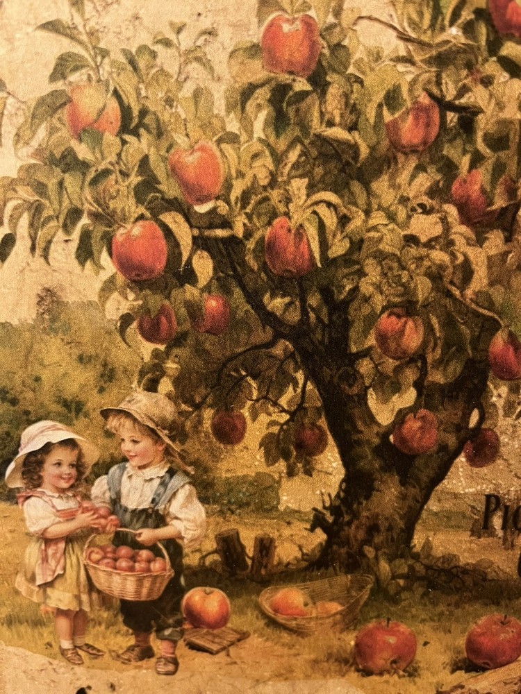 Apples Orchard Farm, Handcrafted Plaque / Sign