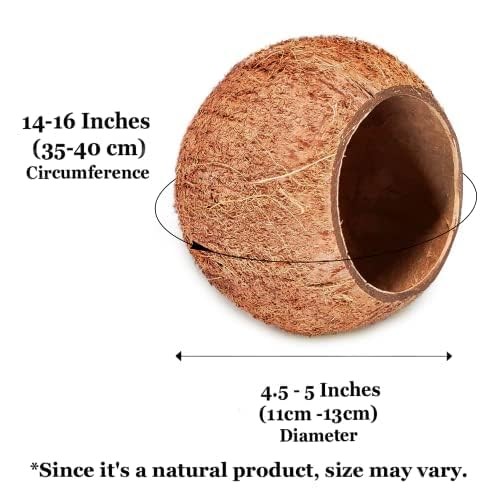 SunGrow Coconut Shell House for Gecko, Snake & Ball Python, Raw Coco Brown