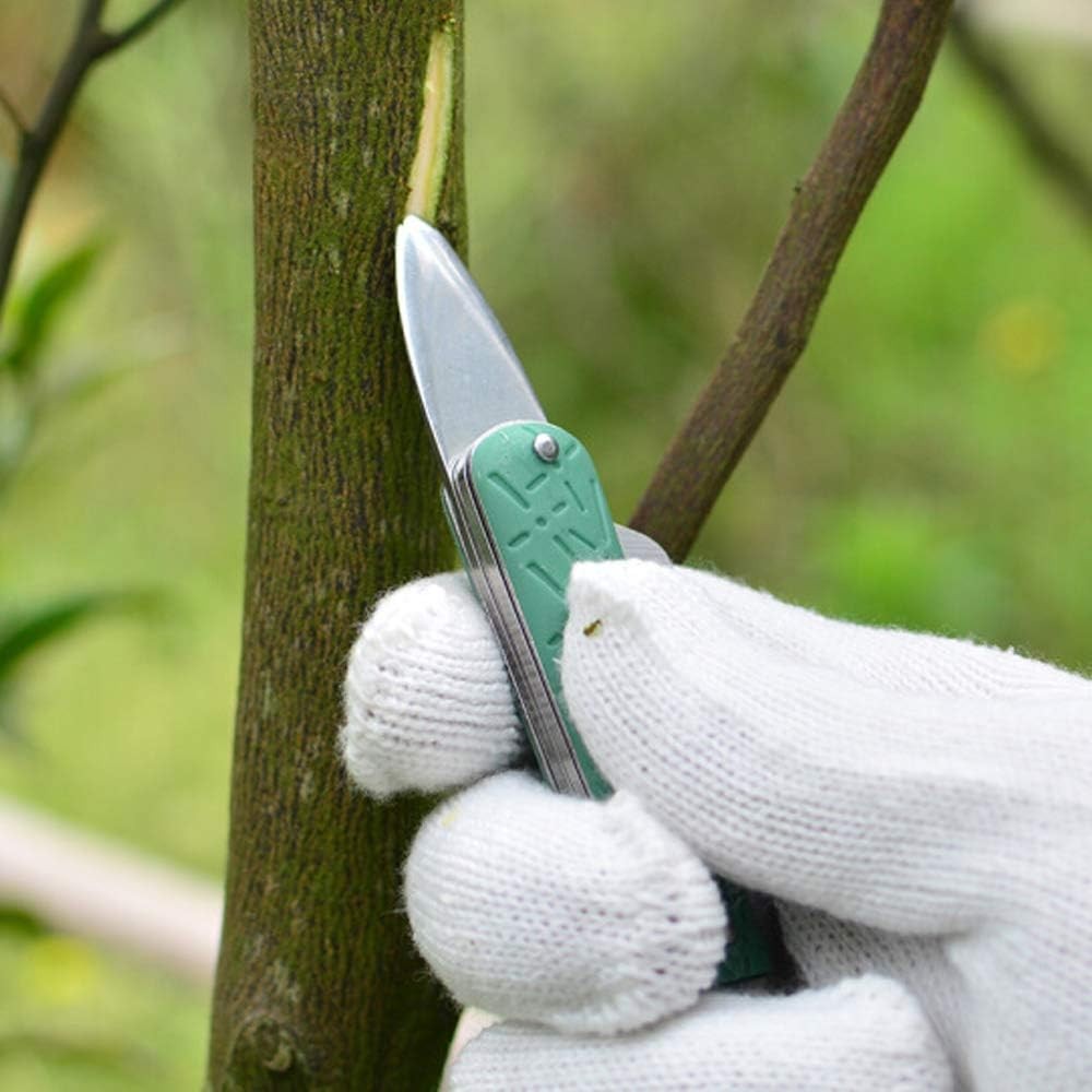 Grafting Tools, Fruit Trees Gardening Grafting Pruning Cutting Seedling Budding