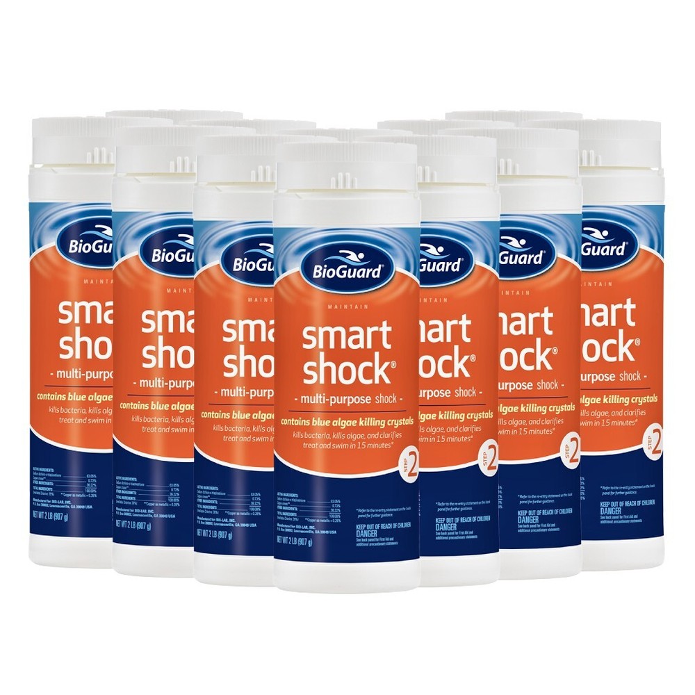 BioGuard Smart Shock (2 lb) ( 12 Pack )